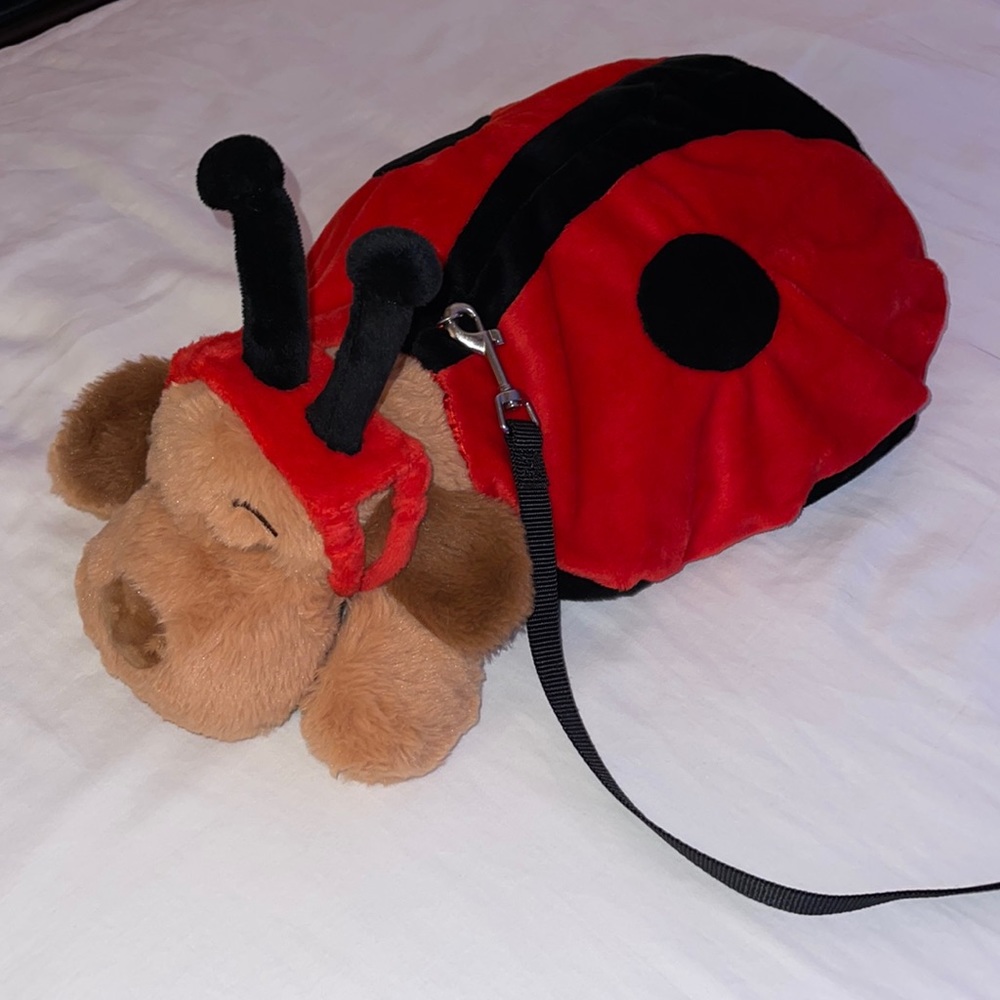 🐶Pet Costume🐞 LadyBug costume w/headband antennae, size Medium, plush & soft!
